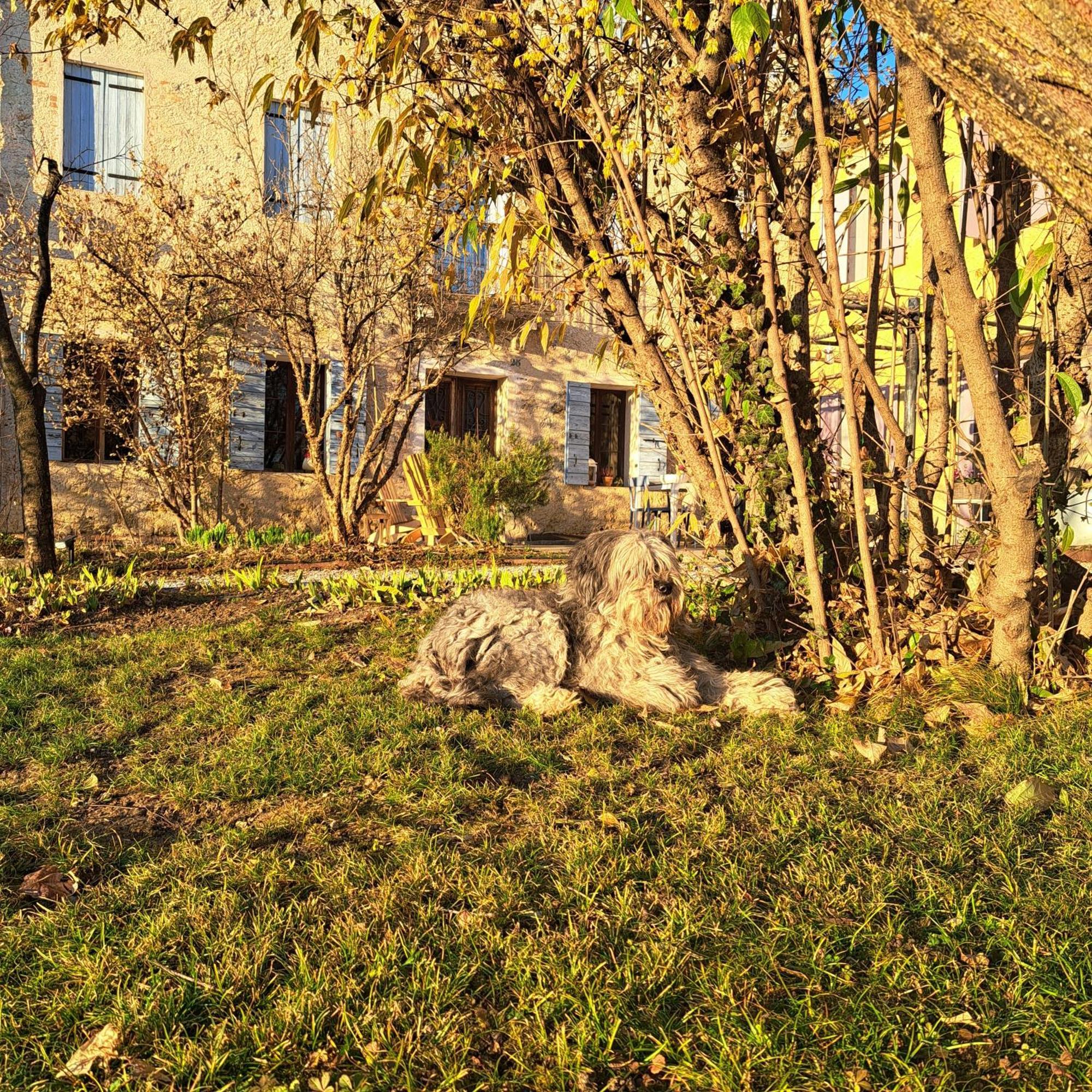 Casadesergio Refrontolo Exterior photo